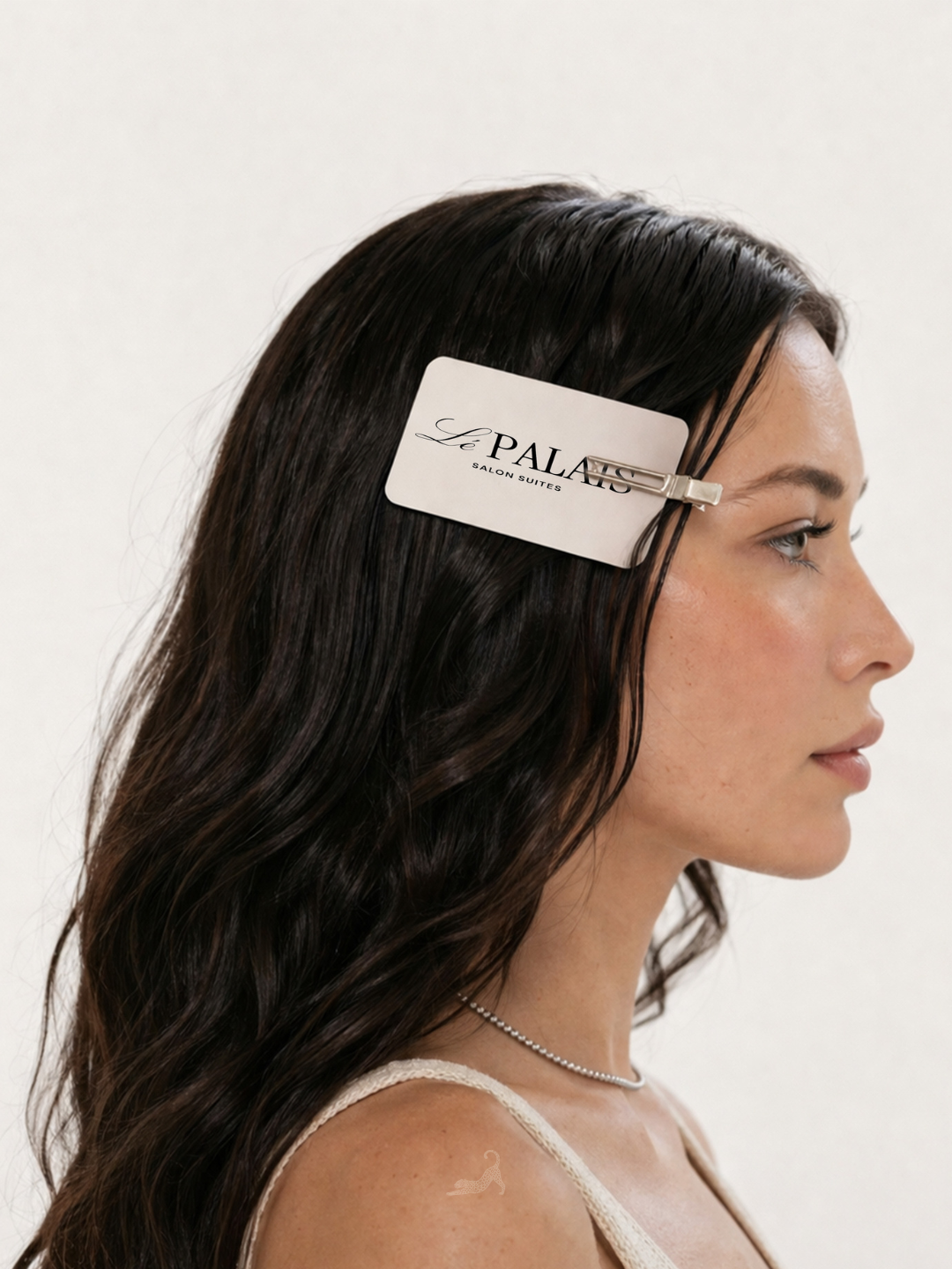 Le Palais luxury brand identity designed for high-end beauty professionals in Vienna VA.
